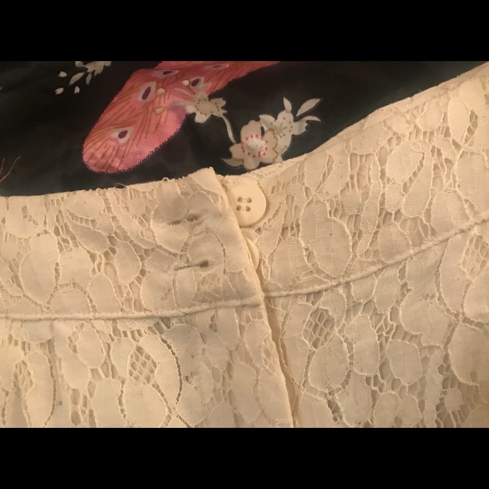 Lace Shorts - Picture 5 of 6